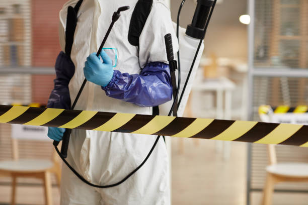Professional Sewage Cleanup technician working in Decatur, AR